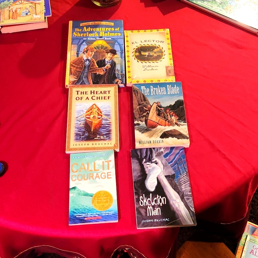 Bundle of six middle school books